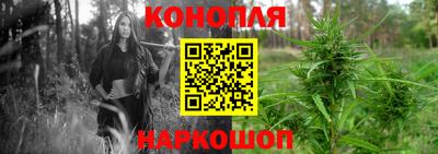 хмурый Можга