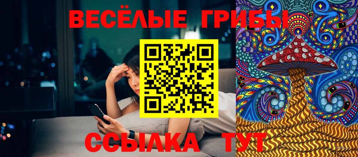 Владикавказ  Галлюциногенные грибы прущие грибы  где купить наркотик  Вход с VPN 